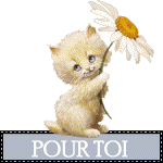 UNE BELLE AMITIER